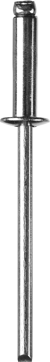 ЗУБР 3.2 x 10 мм, 50 шт, нержавеющие заклепки, Профессионал (313166-32-10)
