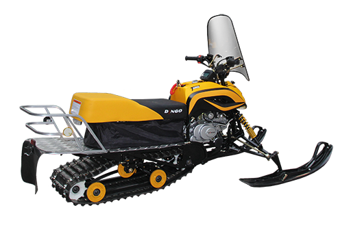 Dingo t125. Динго т125. Снегоход Динго 125. Irbis Dingo t125