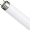 Osram L18W/640 Лампа люминесцентная 18Вт-цоколь G13-цвет.теплый белый Osram L18W/640 Лампа люминесцентная 18Вт-цоколь G13-цвет.теплый белый