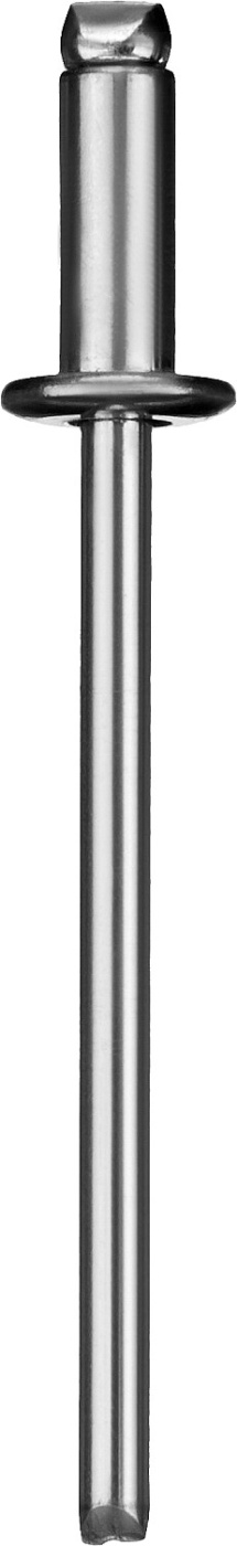 ЗУБР 4.8 x 10 мм, 500 шт, стальные заклепки, Профессионал (31312-48-10)